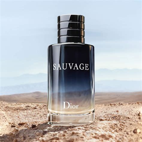 sauvage dior 6.8 oz|Dior Sauvage cheapest deals.